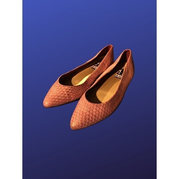 APT. 9 & CO. "Bullseye-6” Pointy Toe Flats,100% Leather, PINK REPTILE,10M, NWOB - Picture 2 of 9